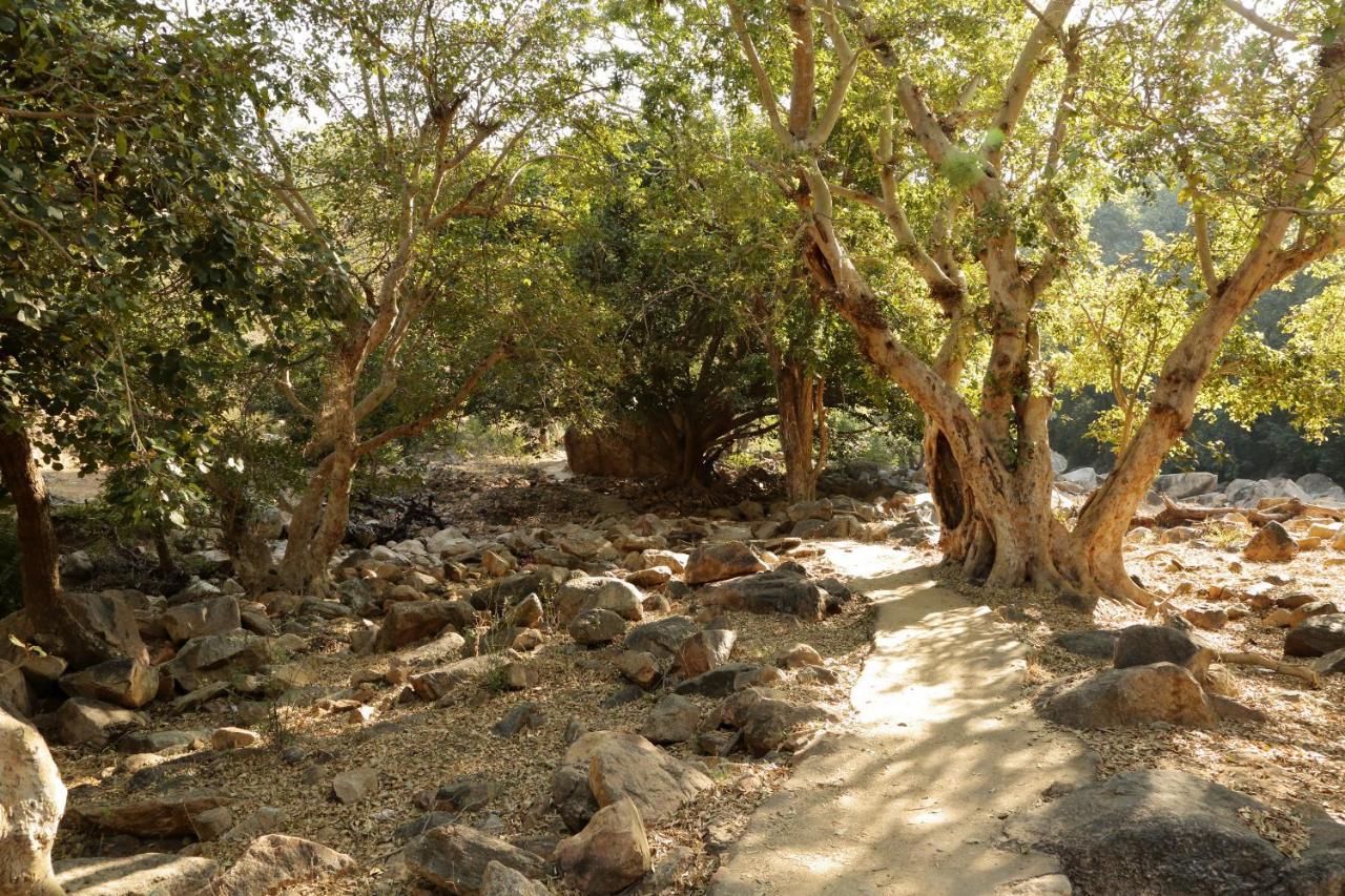 Bijapur Lodge Jawai Zewnętrze zdjęcie
