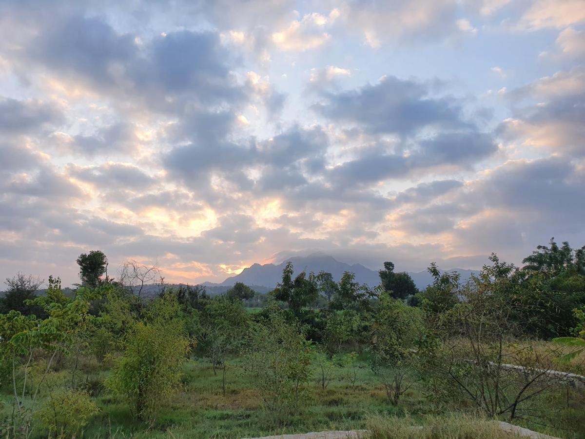 Bijapur Lodge Jawai Zewnętrze zdjęcie